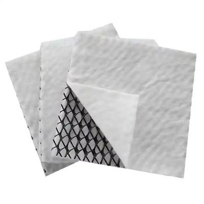 quality Водонепроницаемая хранилище дренажная изоляция HDPE 3D Composite Geonet в пределах 50 м длины factory